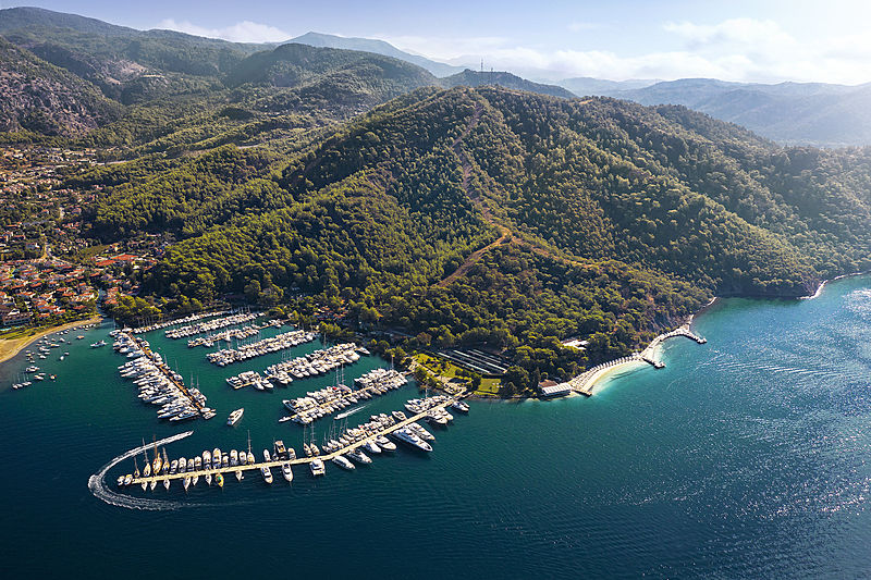 D-Marin company photo