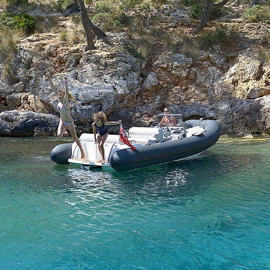 WILLIAMS DIESELJET 565 tender Williams Performance Tenders