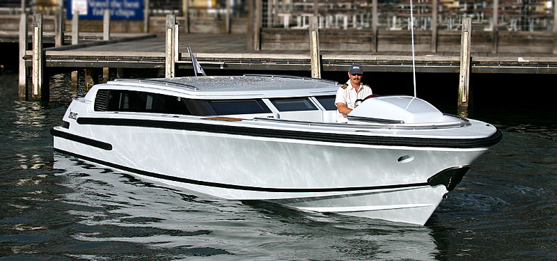 VIKAL LIMOUSINE 10M tender Vikal International