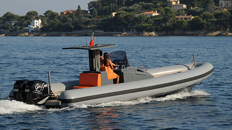 DARIELTENDER 10 tender Dariel SRL