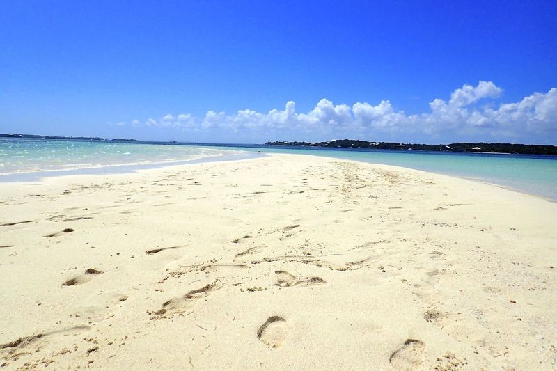 Tahiti Beach DOTM Bahamas article