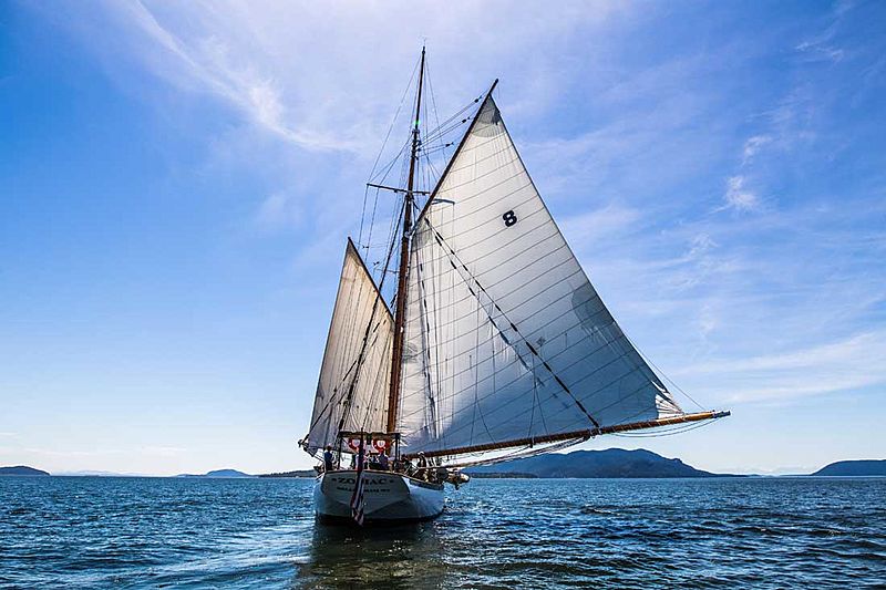 Zodiac yacht cruising stern