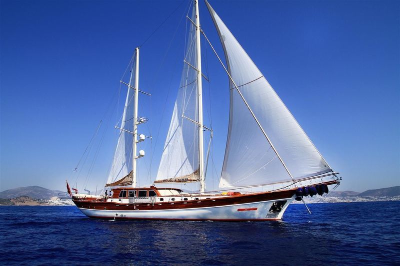 Estrella de Mar