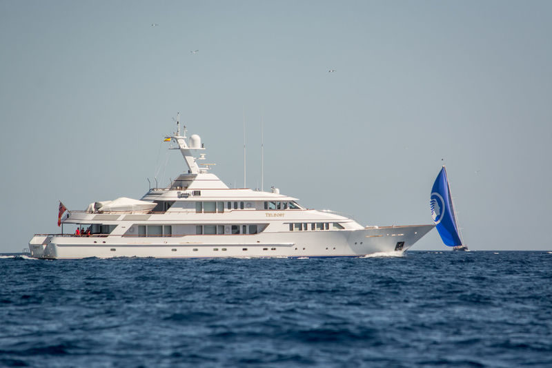 Teleost cruising off Palma de Mallorca