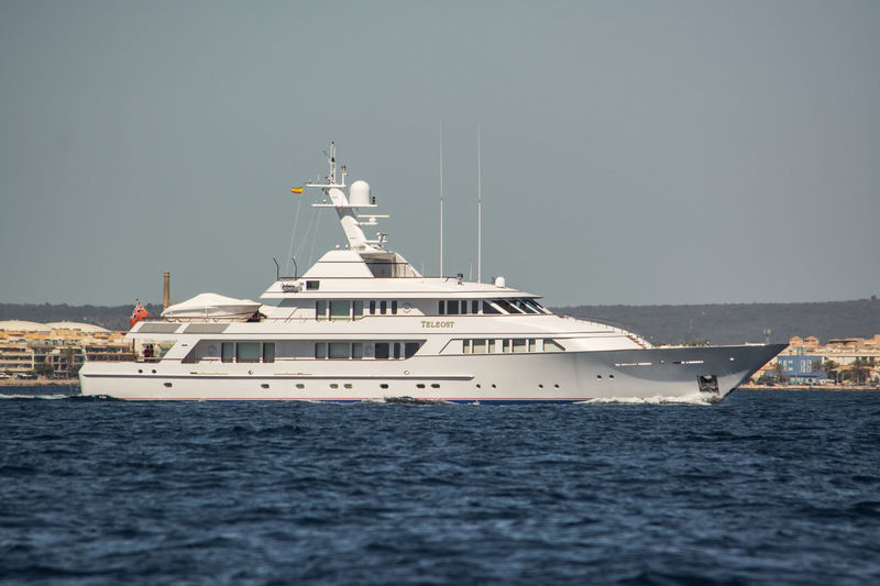 Teleost cruising off Palma de Mallorca