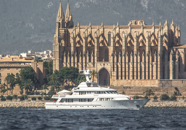 Teleost cruising off Palma de Mallorca