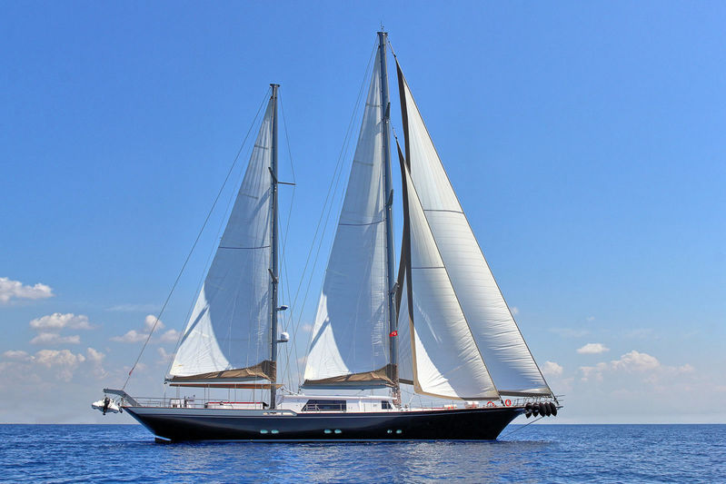 Moss sailing