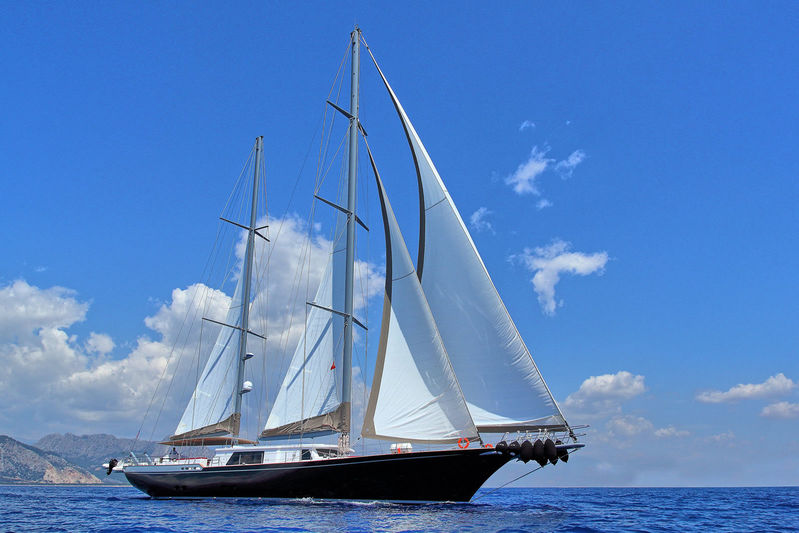 Moss sailing