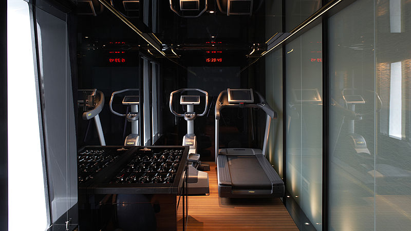 Sealyon yacht gym